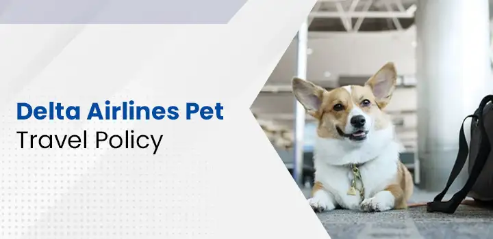 Delta Airlines Pet Policy
